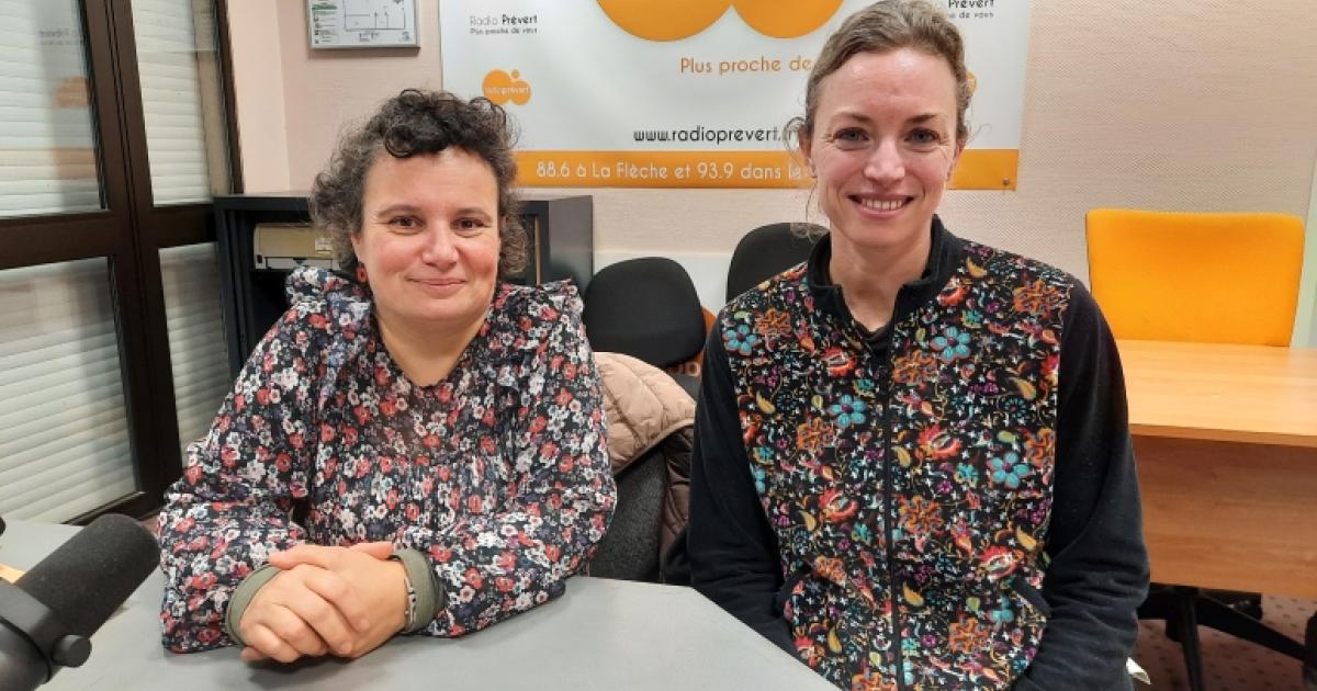 Pauline Girard, technicienne forestière | Radio Prevert